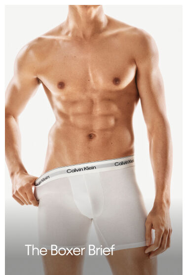 The Boxer Brief